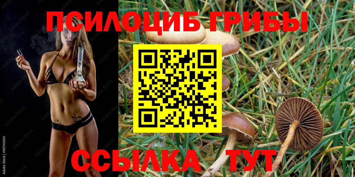 Псилоцибиновые грибы MAGIC MUSHROOMS Камышин