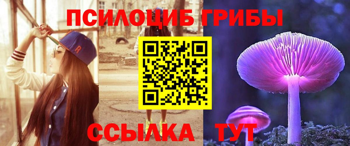 Псилоцибиновые грибы мицелий  Вход с VPN  Камышин 